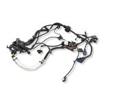 Gearbox/transmission wiring loom