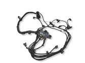 Engine installation wiring loom