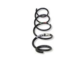 Rear coil spring
