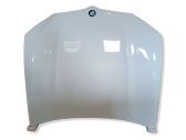 Engine bonnet/hood