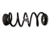 Rear coil spring