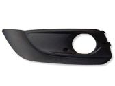 Front fog light trim/grill
