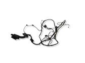 Other wiring loom