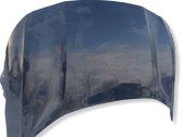 Engine bonnet/hood
