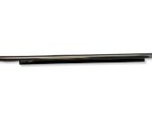 Rear door glass trim molding