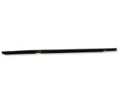 Other rear door trim element
