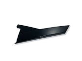 Rear door glass trim molding