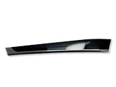 Other front door trim element