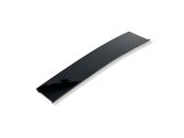 Rear door glass trim molding