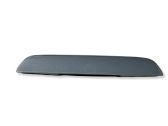 Rear door exterior handle