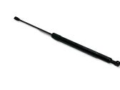 Tailgate/trunk strut/damper