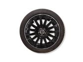 R20 alloy rim