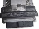 Engine control unit/module ECU