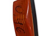 Front fender indicator light