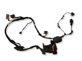 Front door wiring loom