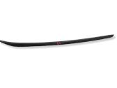 Windshield trim