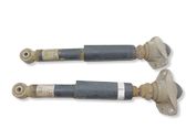 Rear shock absorber/damper