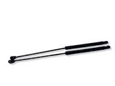 Tailgate/trunk strut/damper
