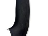 Rear/tail light trim molding
