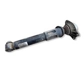 Rear shock absorber/damper