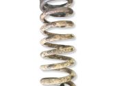 Front coil spring