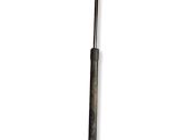 Tailgate/trunk strut/damper