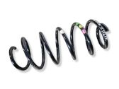 Front coil spring