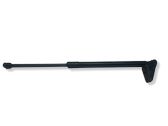 Tailgate/trunk strut/damper