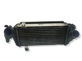 Intercooler radiator