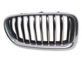 Front bumper upper radiator grill