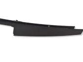 Rear door glass trim molding