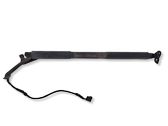 Tailgate/trunk strut/damper