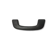 Front interior roof grab handle