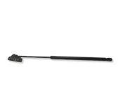 Tailgate/trunk strut/damper