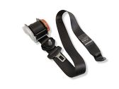 Rear seatbelt