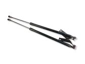 Tailgate/trunk strut/damper