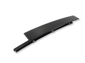 Rear door glass trim molding
