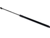 Tailgate/trunk strut/damper