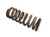 Front coil spring