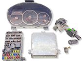 Engine control unit/module ECU