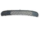 Front bumper lower grill