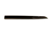 Rear door trim (molding)