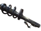Front shock absorber with coil spring