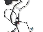 Rear door wiring loom