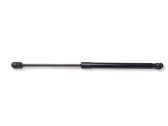 Tailgate/trunk strut/damper
