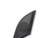 Front door high frequency speaker