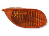 Front fender indicator light