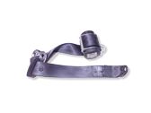 Rear seatbelt