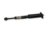 Rear shock absorber/damper