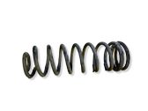 Rear coil spring